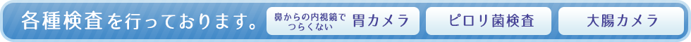 鼻からの内視鏡でつらくない胃カメラ、大腸カメラ、ピロリ菌など、各種検査を行っております