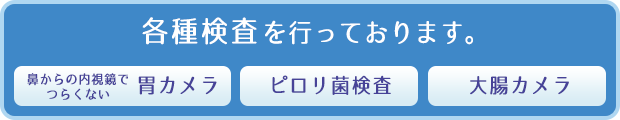 鼻からの内視鏡でつらくない胃カメラ、大腸カメラ、ピロリ菌など、各種検査を行っております